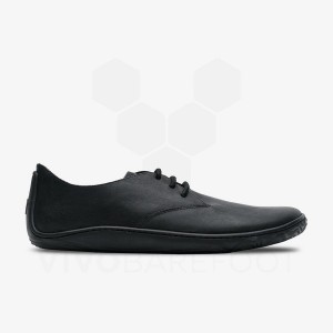 Vivobarefoot Addis Oxford Men's Lifestyle Shoes Black | SG297BA