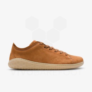 Vivobarefoot Geo Court III Women's Lifestyle Shoes Brown | SG148UK