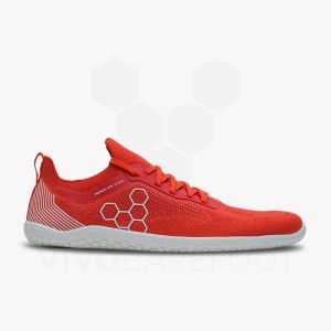 Vivobarefoot Primus Lite Knit Women's Training Shoes Red | SG182MM