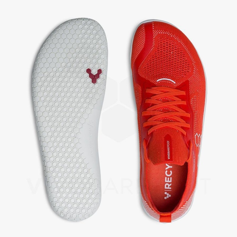 Vivobarefoot Primus Lite Knit Women's Road Running Shoes Red | SG215FU