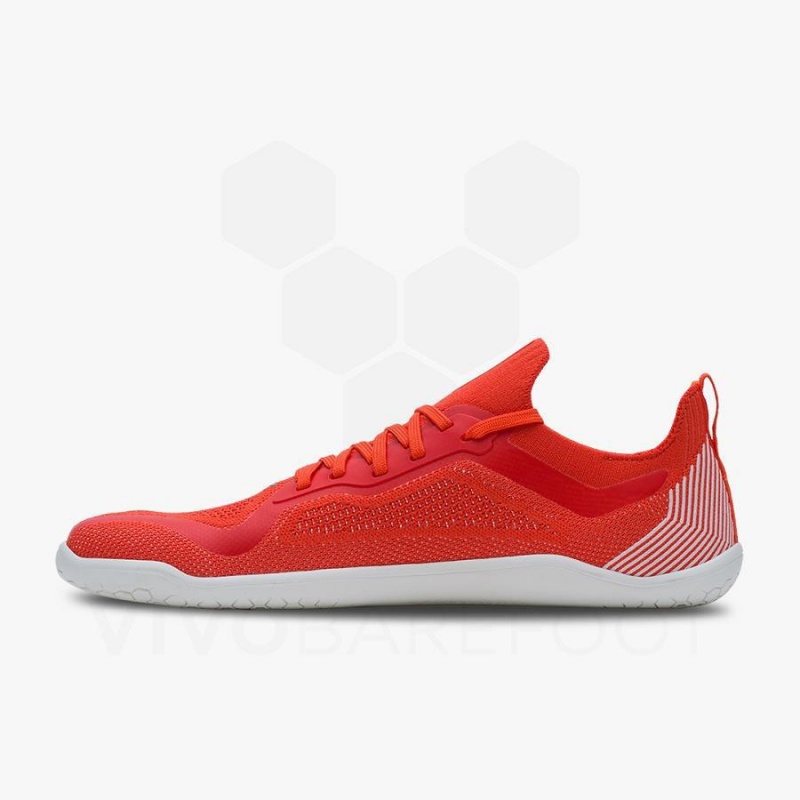 Vivobarefoot Primus Lite Knit Women's Road Running Shoes Red | SG215FU