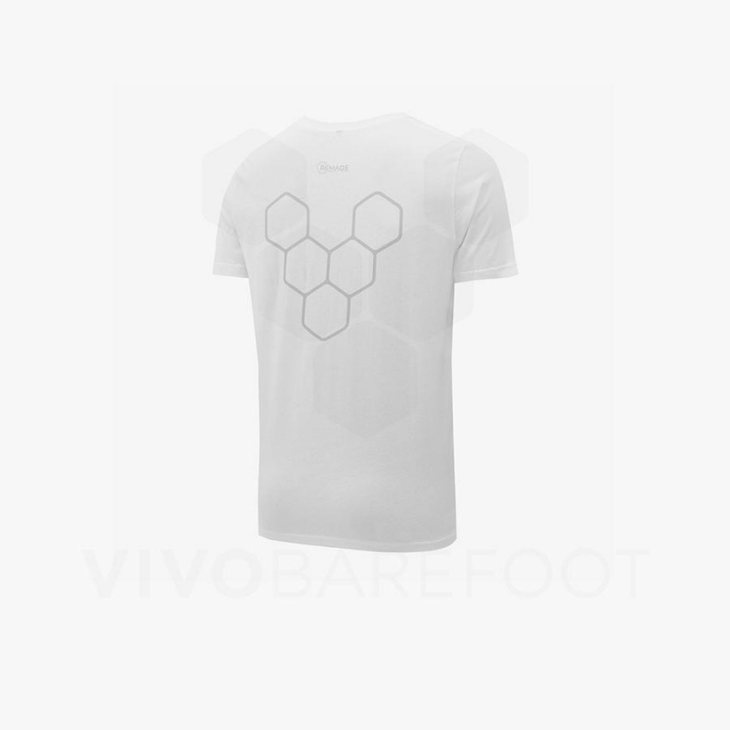 Vivobarefoot Rapanui Women's T Shirts White | SG095VJ